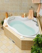 Акриловые ванны Vagnerplast - фото